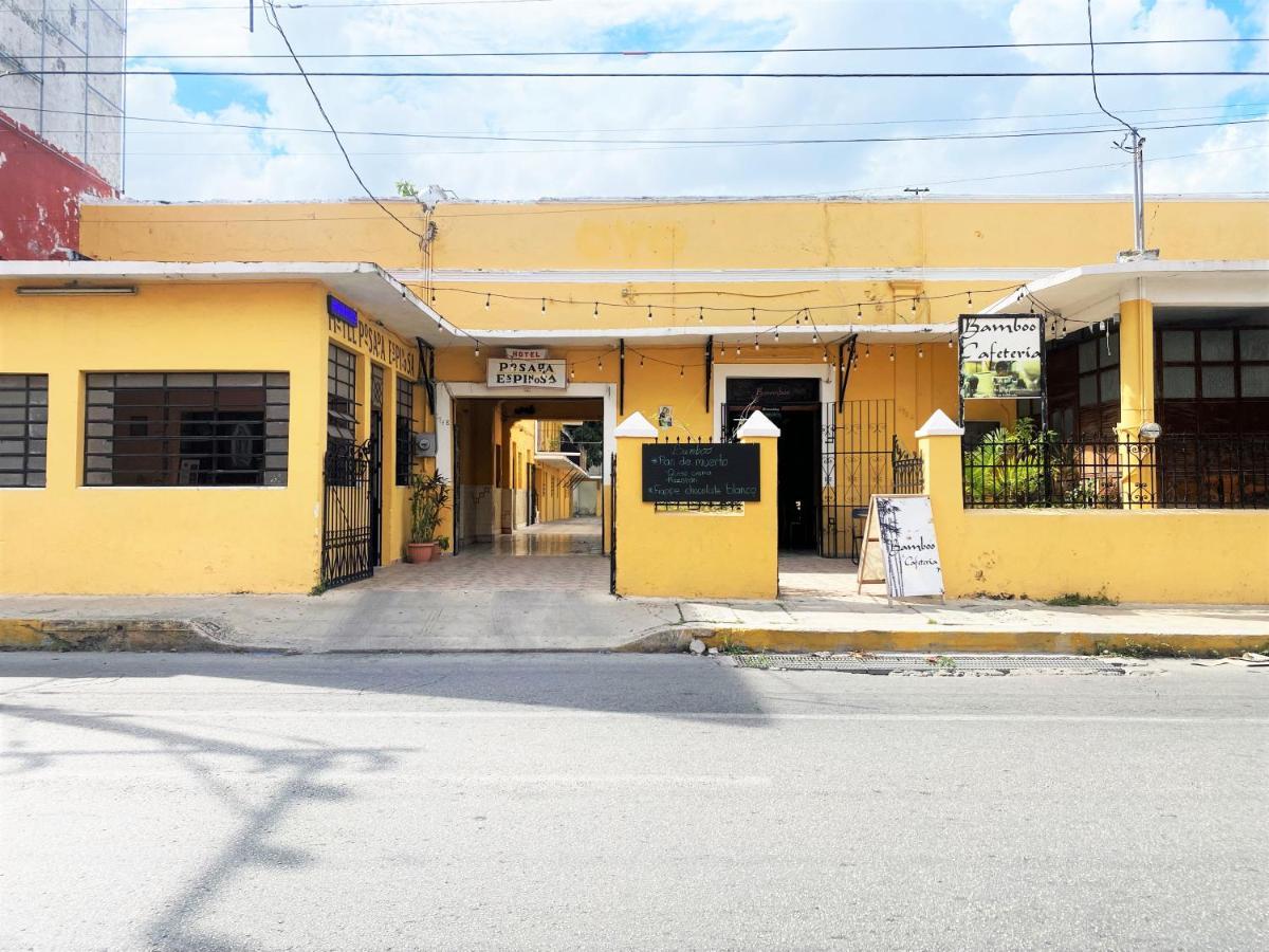 Oyo Posada Espinosa, Merida, Parque De Santa Ana Екстериор снимка